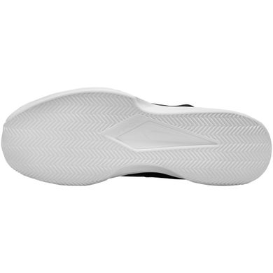 Кросівки чоловічі Nike VAPOR LITE CLY артикул DH2949-024