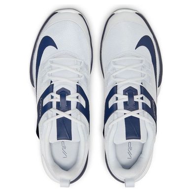 Кроссовки мужские для тенниса Nike VAPOR LITE HC текстиль серые DC3432-007, 12, 46, 30