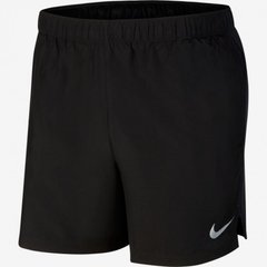 Шорты мужские Nike Dry Fit, M