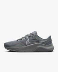Кроссовки мужские Nike M NIKE LEGEND ESSENTIAL 3 NN DM1120-012 серые, 10, 44, 28